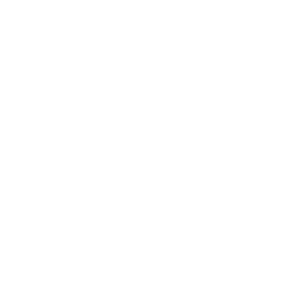 Octopolis